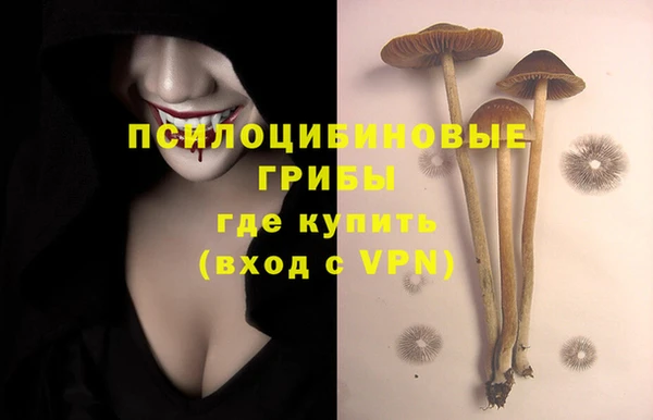 мяу мяу мука Новый Уренгой
