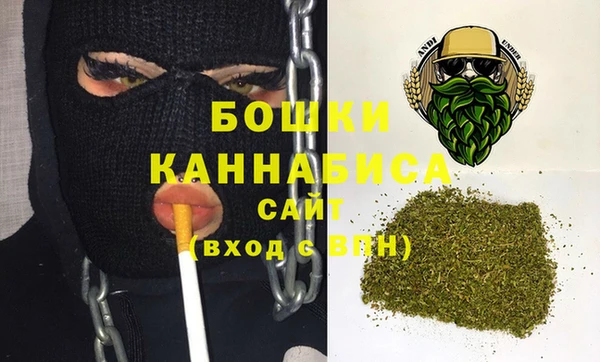 молекула духа Медногорск