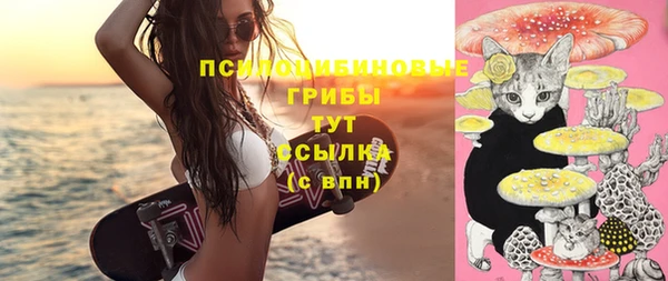 молекула духа Медногорск