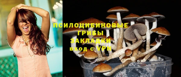 молекула духа Медногорск