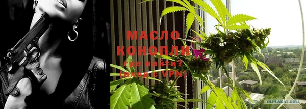 молекула духа Медногорск