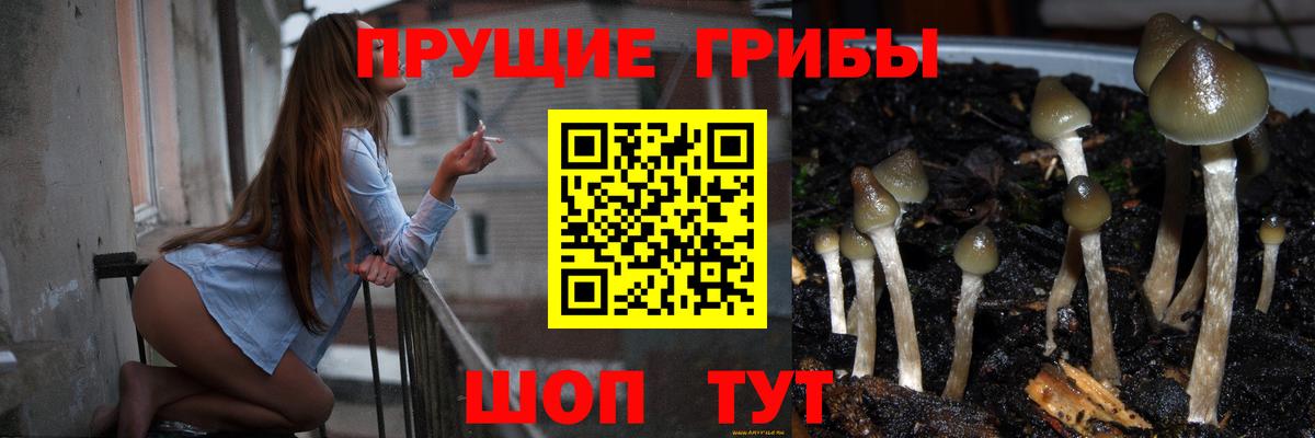 Галлюциногенные грибы MAGIC MUSHROOMS  Вход с VPN  Кувандык 
